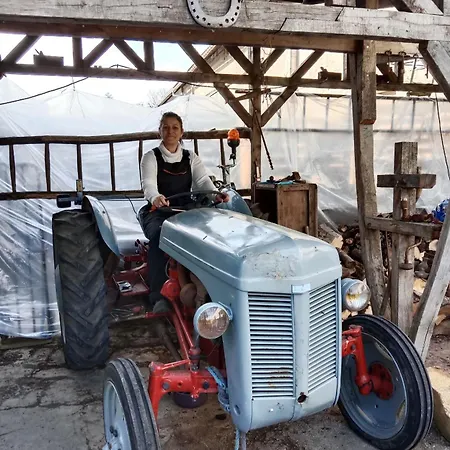 Bed and Breakfast D'hotes La Fromagerie Du Relais Postal Royal Colombey-les-Deux-Eglises